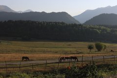 IMG_8757